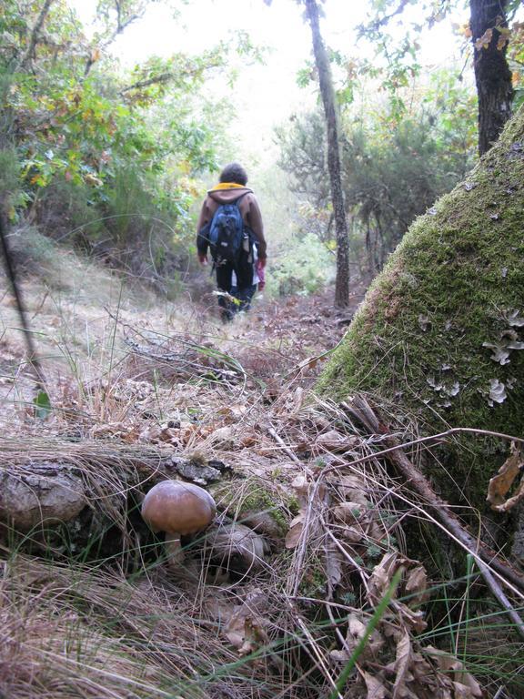 Hosteria Camino Luyego de Somoza エクステリア 写真